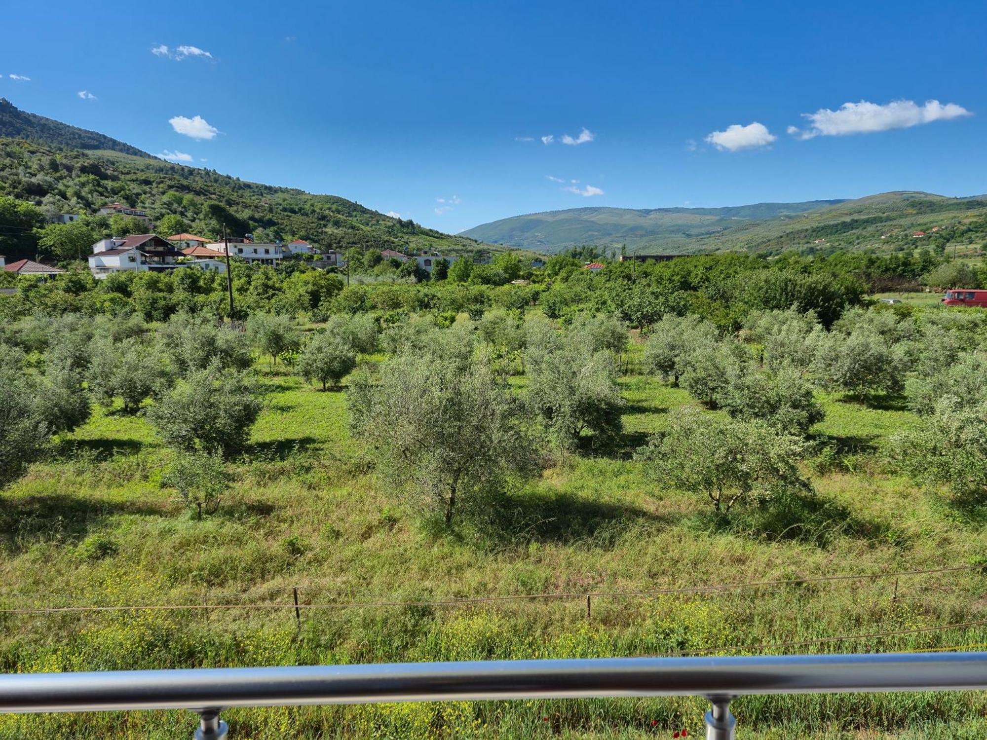 Villa Ari Берат Экстерьер фото